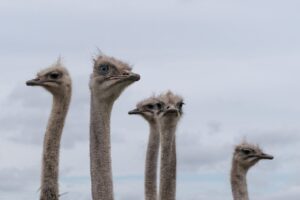 コラーゲンサプリが効かない理由とは何か？