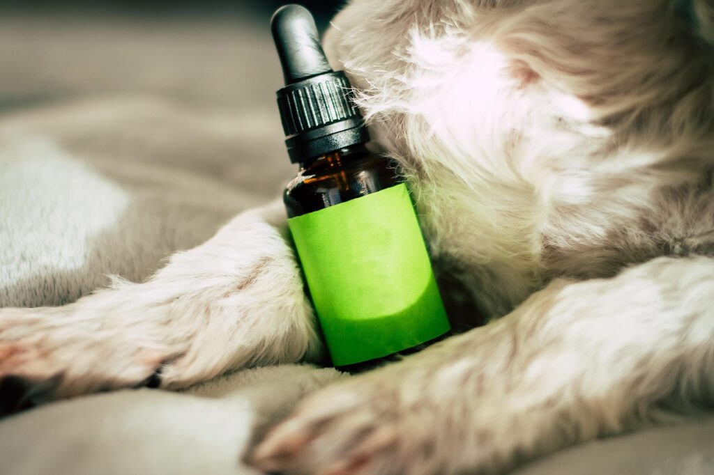 cbdをリラックス目的で高校生が使用するのは何歳から可能ですか？