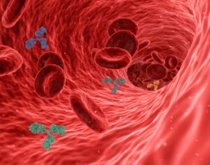 マヌカハニーで免疫力を上げるのはいつ食べるのが効果的？